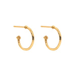 Aurora Hoop Earrings with Reversible Charm - Abalone/MOP