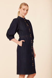 DOLCE CABO Denim Dress