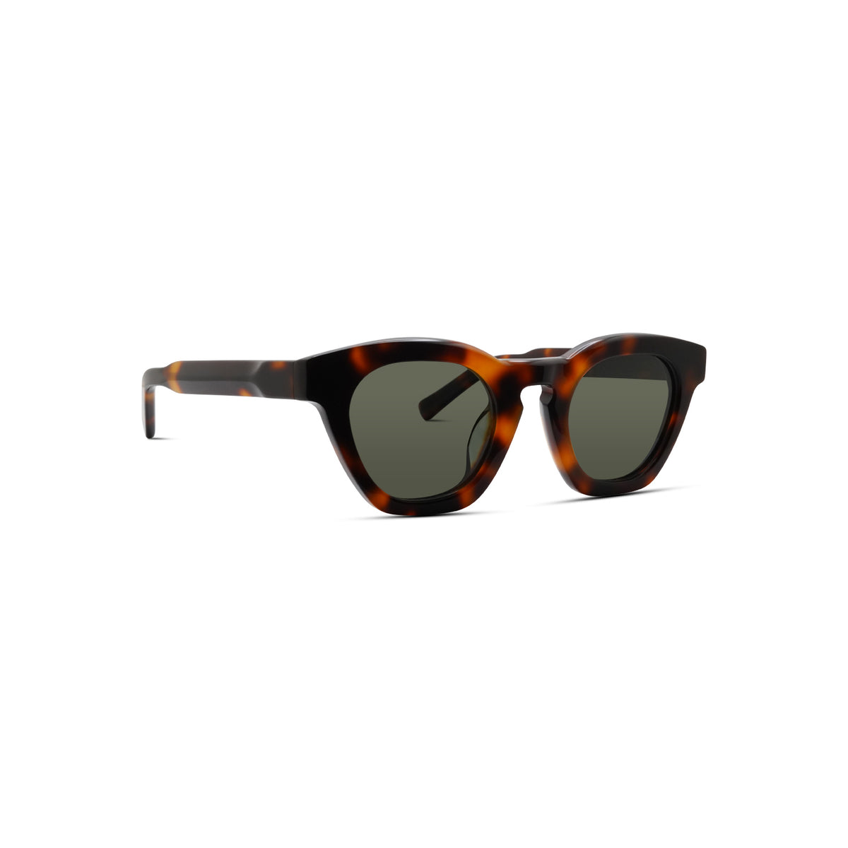 Champagne Taste Tortoise