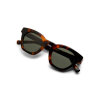 Champagne Taste Tortoise