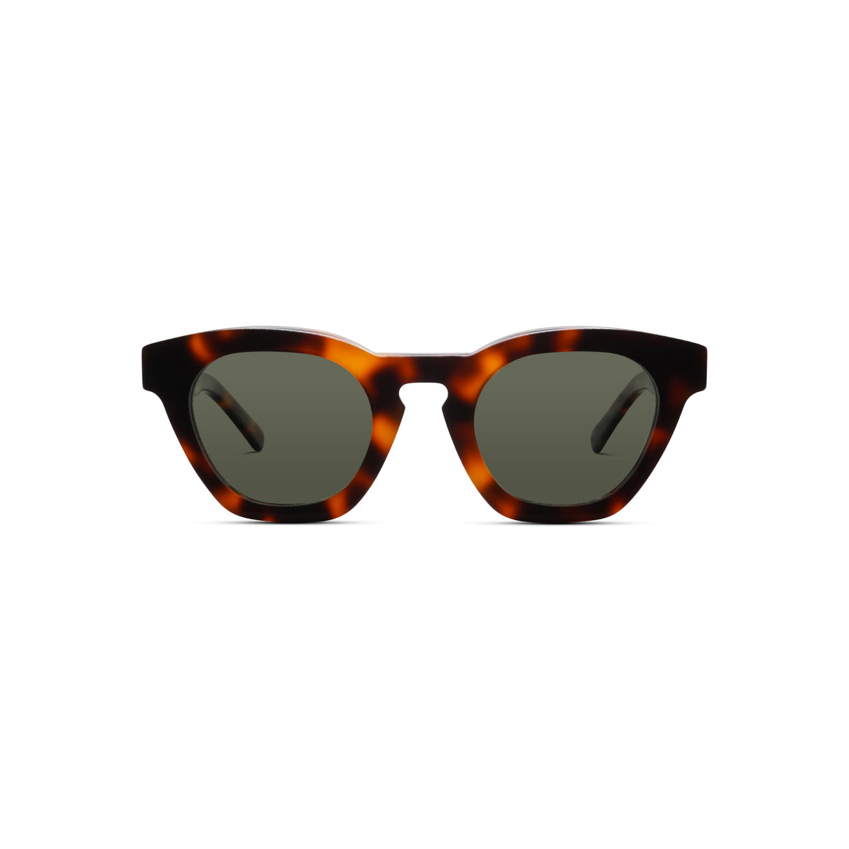 Champagne Taste Tortoise