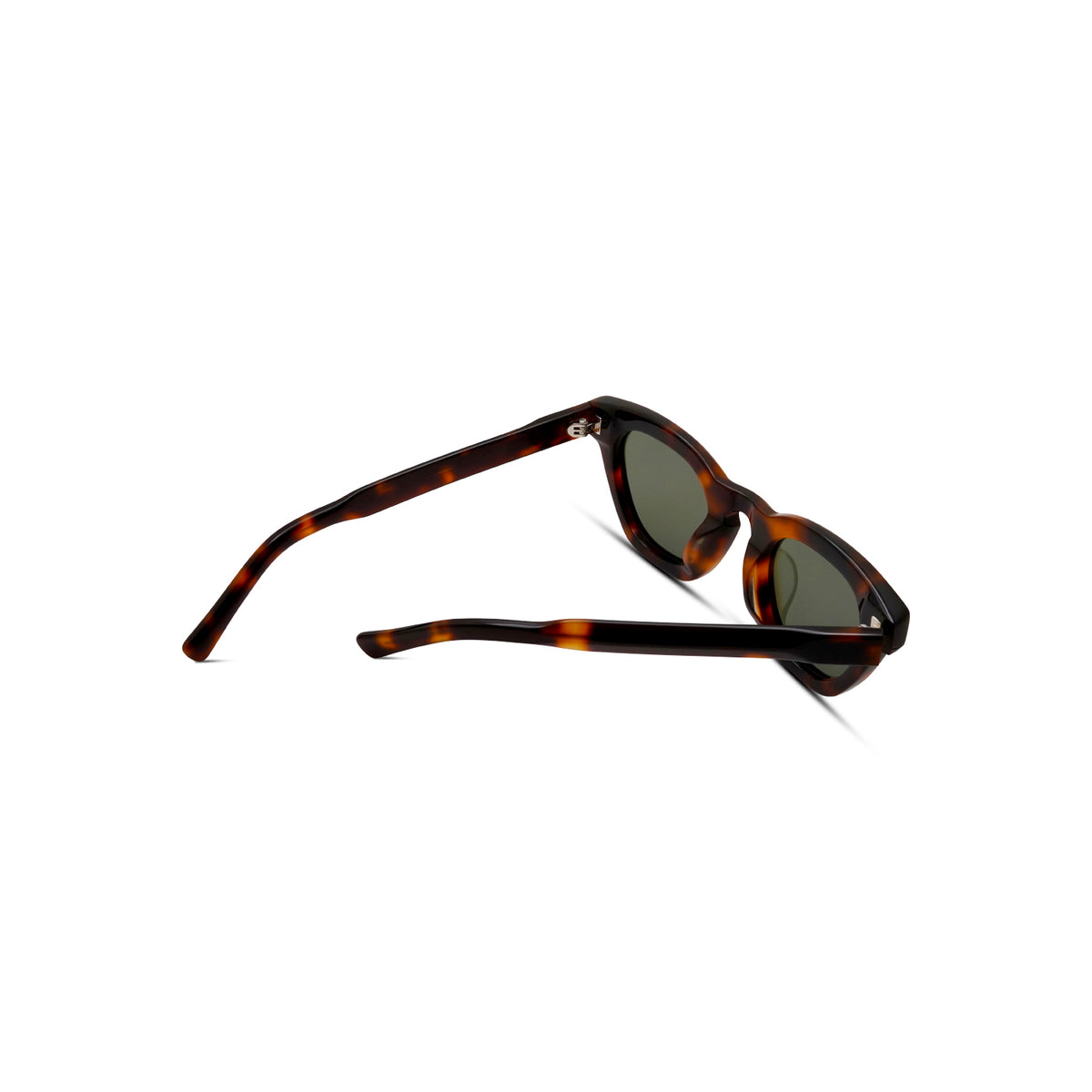 Champagne Taste Tortoise