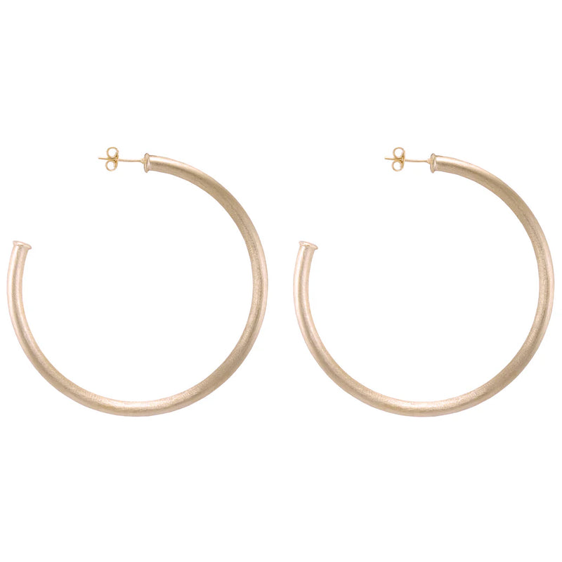 SF Everybody's Favorite Hoops in Champagne Sheila Fajl
