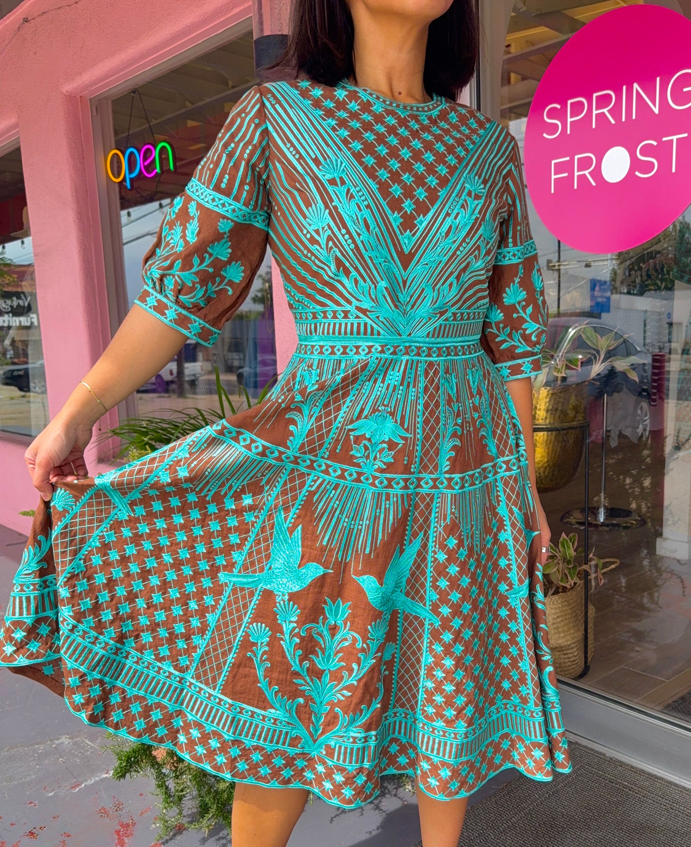 FSP Brown and Turquoise Embroidered Dress