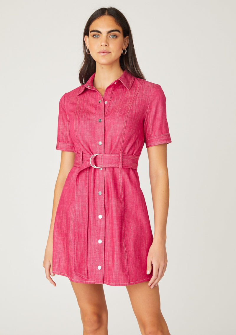 Shoshanna Archie Dress Shoshanna