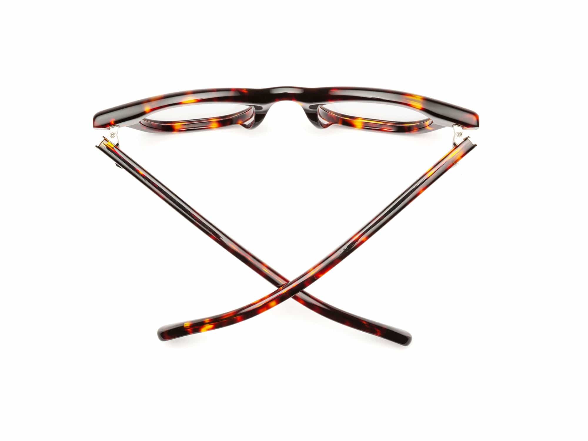 CADDIS Wabi Sabi Readers in Turtle