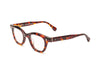 CADDIS Wabi Sabi Readers in Turtle