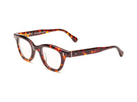 CADDIS Wabi Sabi Readers in Turtle