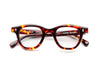 CADDIS Wabi Sabi Readers in Turtle