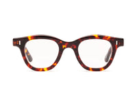 CADDIS Wabi Sabi Readers in Turtle