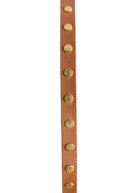 ADA Cala Belt. ADA