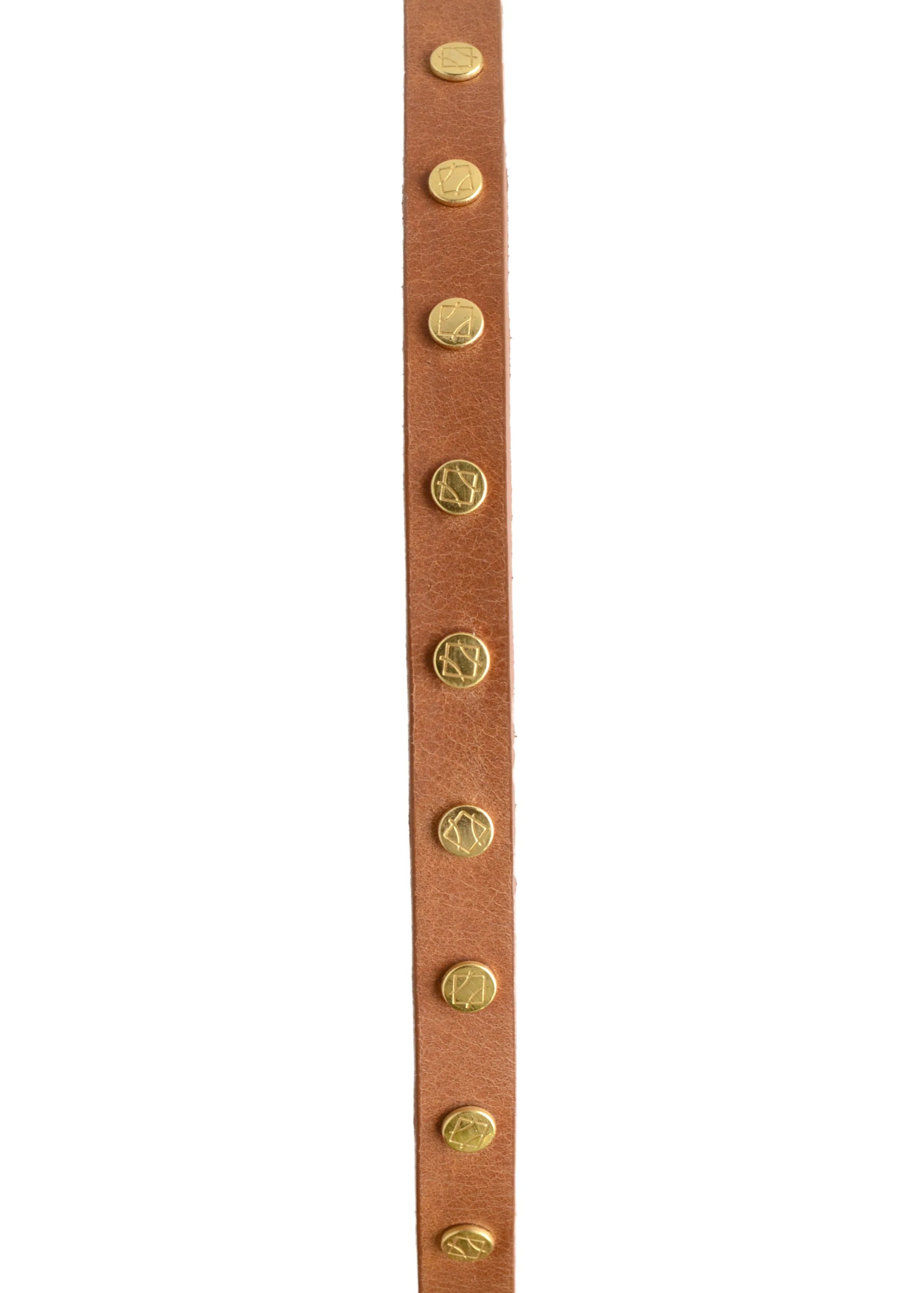 ADA Cala Belt. ADA