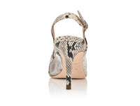 Dance Natural Printed Wild Snake/Clear Mesh: 7 Joan Oloff Shoes