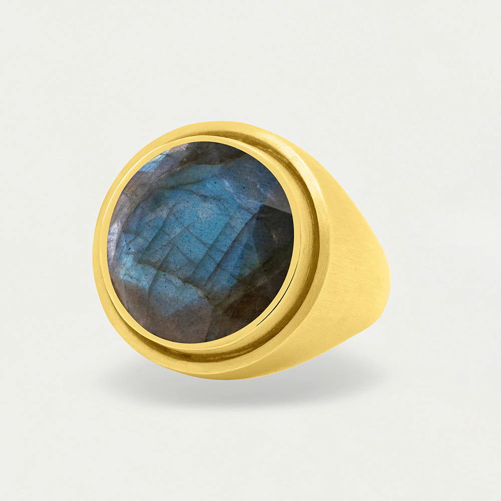 Dean Davidson Signet Ring – SPRING FROST Boutique